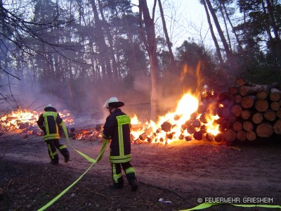 Bei Ankunft der Feuerwehr war der größte Teil der Holzstämme bereits verbrannt.