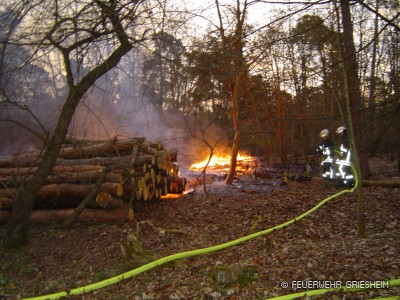 Das Feuer hatte sich auf dem Waldboden ausgebreitet und wurde sofort von zwei Seiten bekämpft, um eine weitere Ausbreitung zu verhindern.