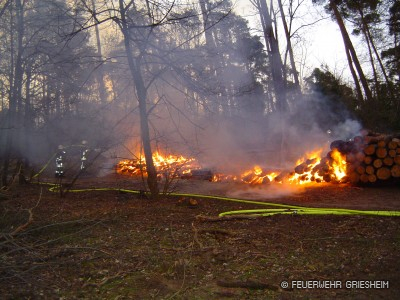 Auf der Waldwegseite wurde sofort die Brandbekämpfung auf die brennenden Holzstämme eingeleitet.