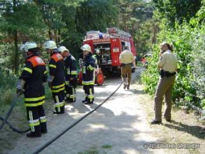 Waldbrand: Wald an der Albert-Schweitzer-Schule