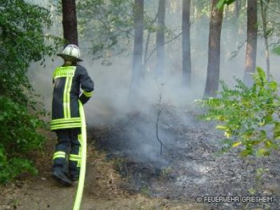 Waldbrand: Wald zwischen Kirschberg, GHS und Goethestraße