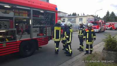 Der Löschzug der Griesheimer Feuerwehr war zur Brandstelle ausgerückt.