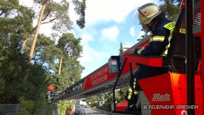 Die Drehleiter der Feuerwehr wurde so positioniert, dass sie nicht im Gefahrenbereich des eventuell umfallenden Baums stand.
